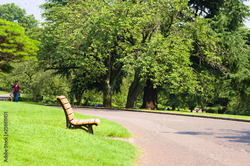Obraz na płótnie woman walking in park w salonie