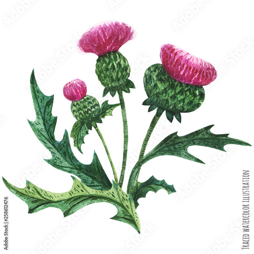 Scottish wild plants boutonniere, thistle bouquet