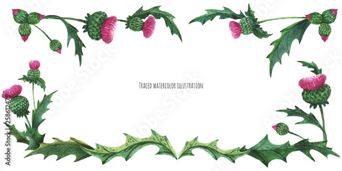Head banner from thistles