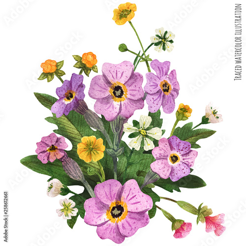 Scottish wild plants boutonniere