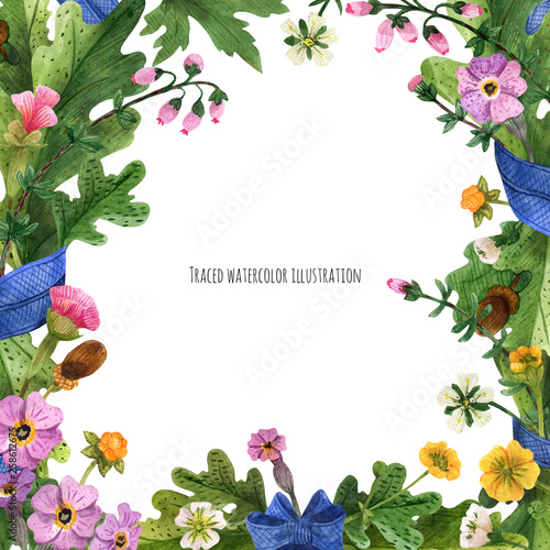 Square border from wild plants of Scotland
