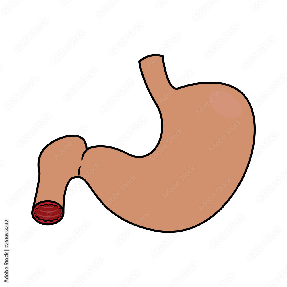 Abstract human stomach Abstract human stomach