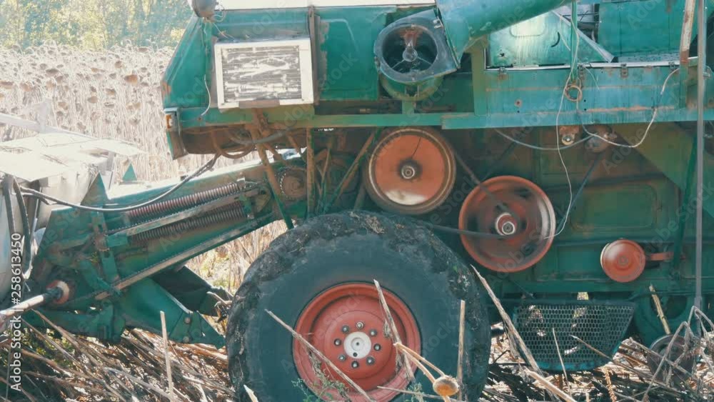 Combine harvesting dry sunflower. Old agricultural harvester cuts sunflower Combine harvesting dry sunflower. Old agricultural harvester cuts sunflower