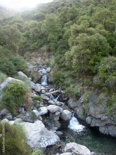 The view at Reserva Florofaunistica reserve in Merlo, San Luis, Argentina. photo