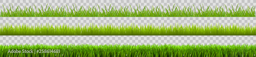 Green grass set, field, nature eco background - stock vector