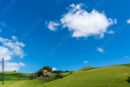 Green Pasture on Hill