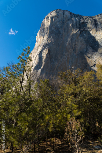 El Capitan  Yosemite National park USA
