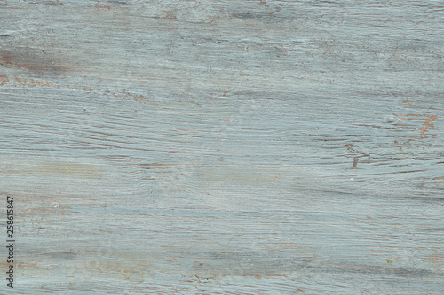 Light grey-green wooden texture with crackled paint. Aged grunge surface, copy-space