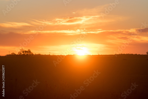 Rural scene of dusk in a field