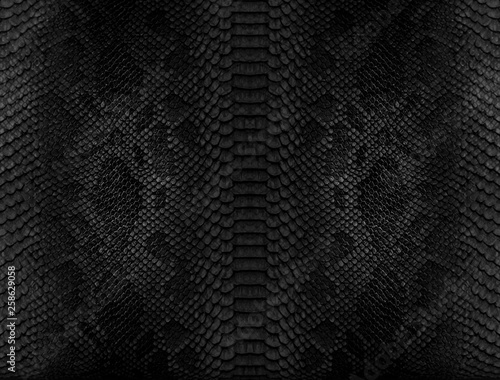 Snake skin background. Close up reptile texture.