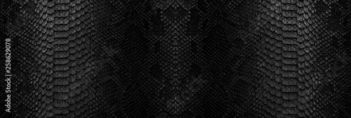 Obraz na płótnie Snake skin background. Panoramic web banner with copy space. w salonie