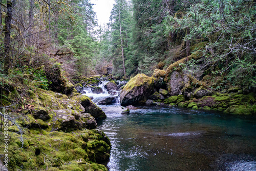 Big Quilcene River flows inside the Olympic National Forest in Washington