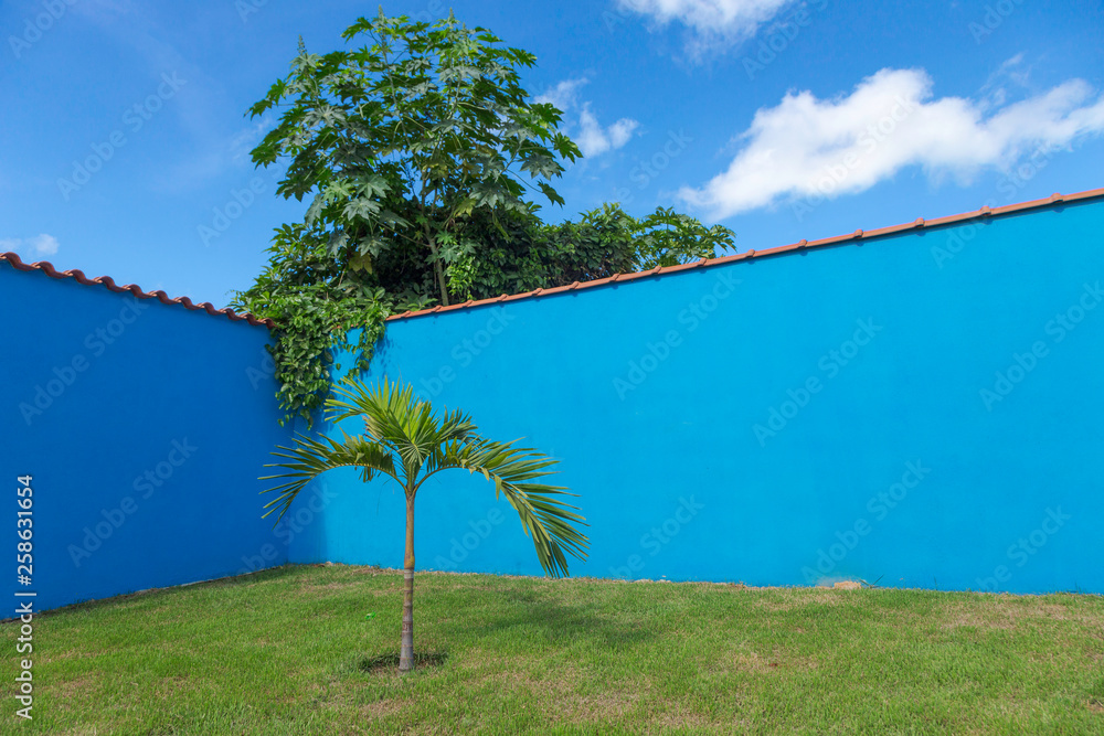 Foto Stock Muro pintado de azul | Adobe Stock