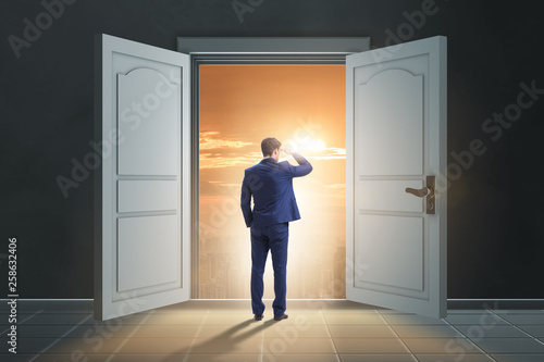Businessman entering big large door