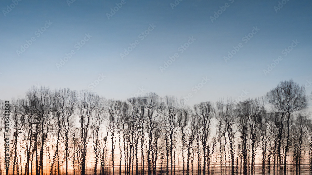 Bare trees with sunrise sky background. Dusk, twilight, nightfall near the forest, park. Bare trees on twilight background. Sunrise, sunset on the field, near forest. Beautiful landscape Bare trees with sunrise sky background. Dusk, twilight, nightfall near the forest, park. Bare trees on twilight background. Sunrise, sunset on the field, near forest. Beautiful landscape