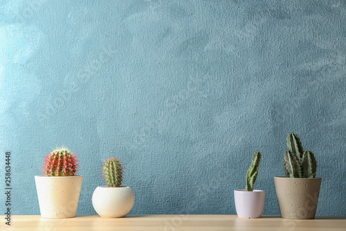 Different potted cacti on table near color background, space for text. Interior decor photo