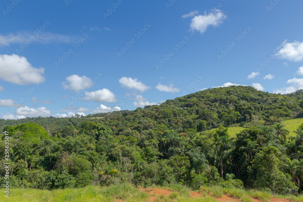 Vista de área de preservada da Mata Atlântica no município de Guarani, estado de Minas Gerais, Brasil