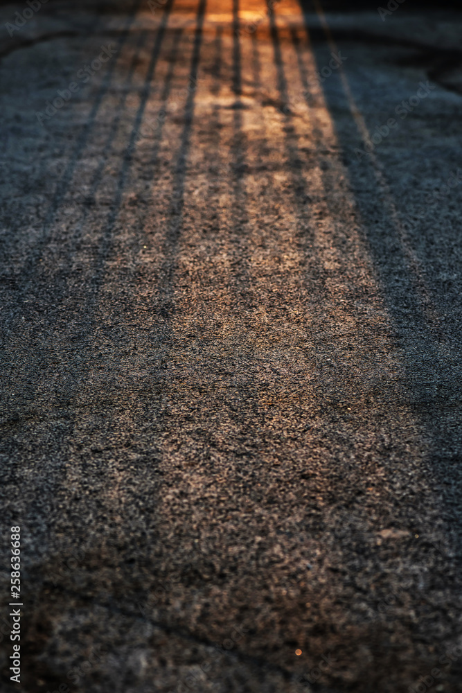 Sunrise light and shade on footpath
