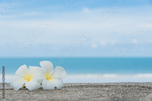 Canvas Print Beautiful nature sea summer background.