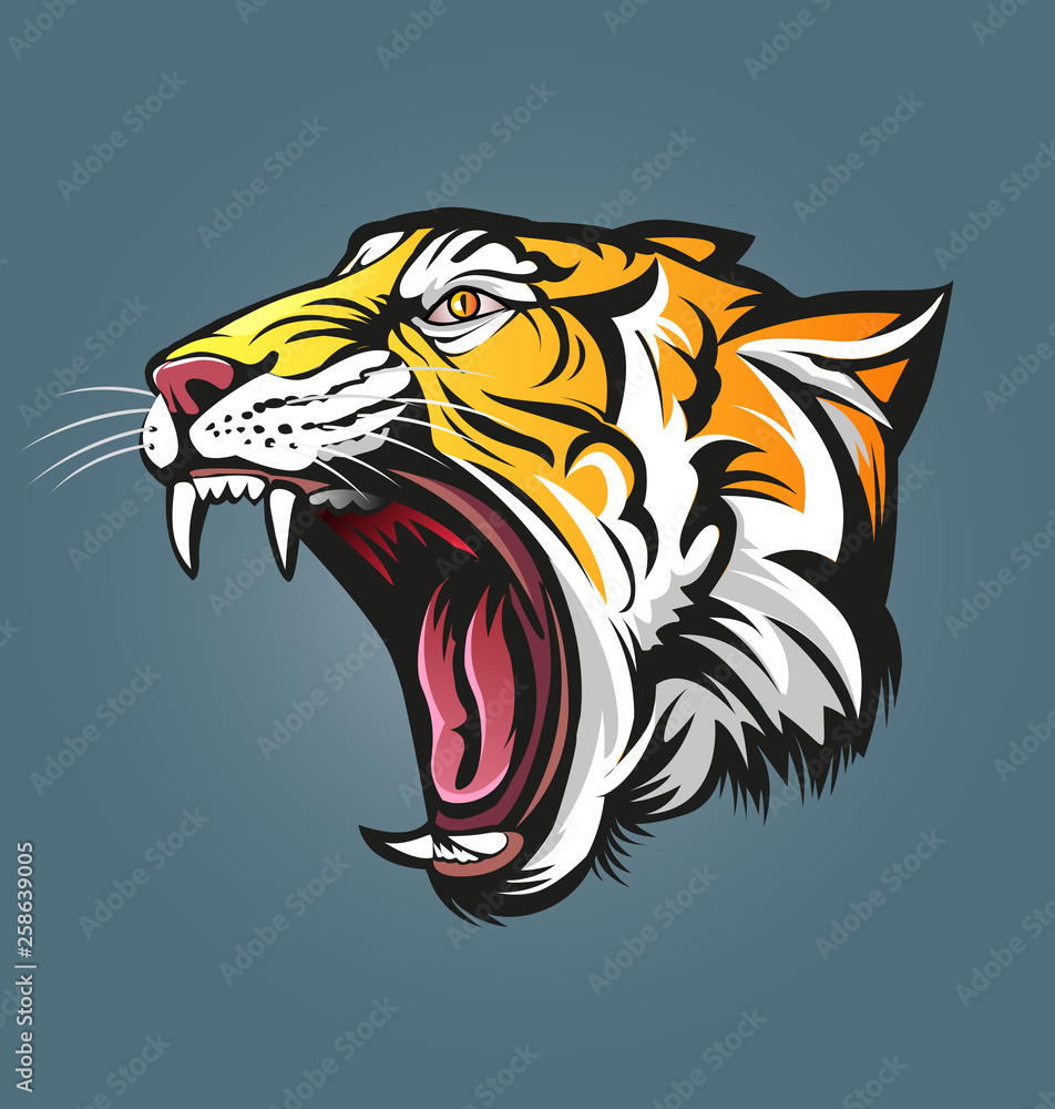 Vector illustration, tiger head symbol. Vector illustration, tiger head symbol.