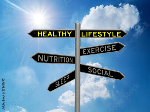 Healthy lifestyle concept 3d sign on a signpost against a sunny blue sky cloudy background