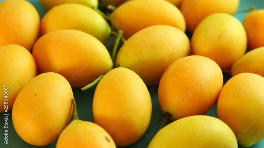 Marian plum fruit in plate, in studio Chiangmai Thailand Marian plum fruit in plate, in studio Chiangmai Thailand