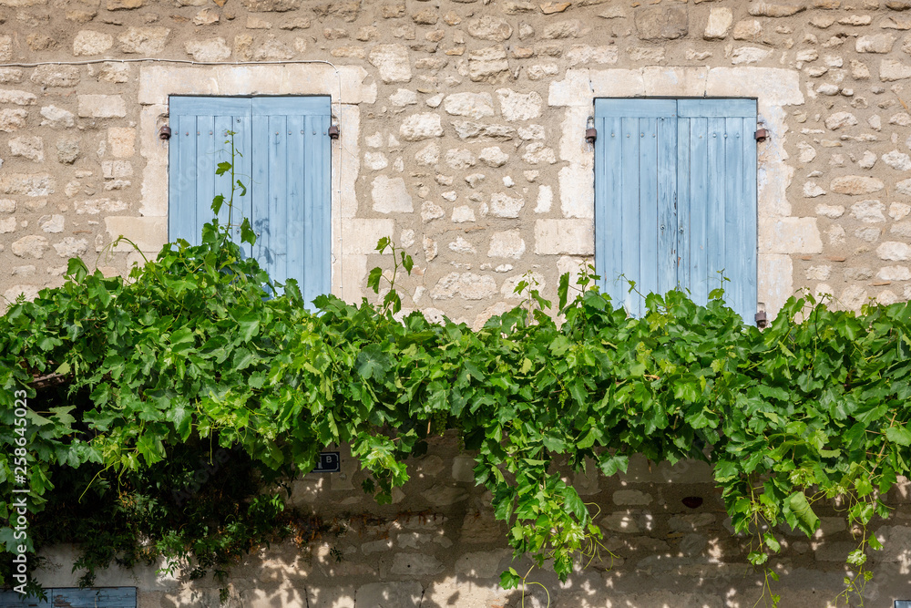 Grape vines growing on buildings in the beautiful Provencal town of St Remy de Provence, France