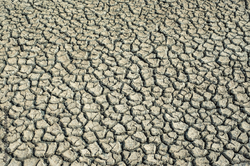 Dry saline soil grunge surface. Cracked ground. Natural background texture. Dry saline soil grunge surface. Cracked ground. Natural background texture.