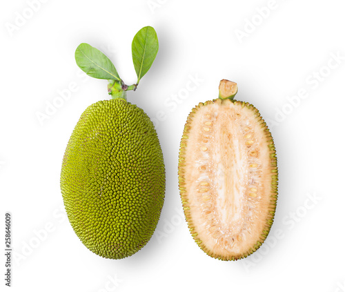 jack fruits on white background. top view