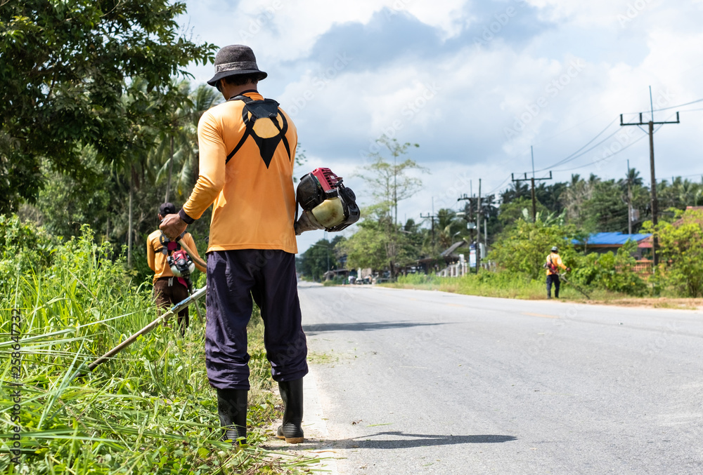 Male worker with grass cutter brush cutter cut grass at road