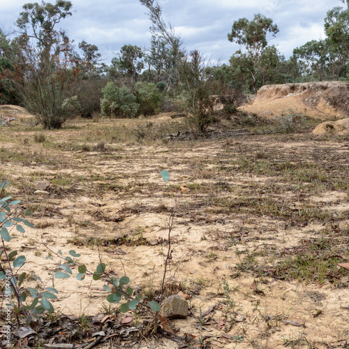 A dry water course at Aranda Bushland Reserve, Canberra, Australia during the morning of March 2019