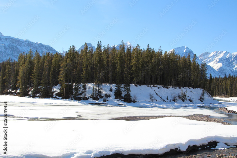 Frozen Island In The Athabasca River, Jasper National Park, Alberta