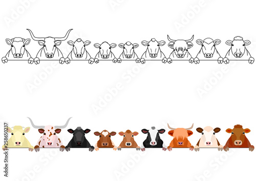 various cattle heads in a row