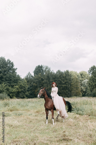 The bride on a horse in the field. Beautiful wedding and photo shoot with a horse.