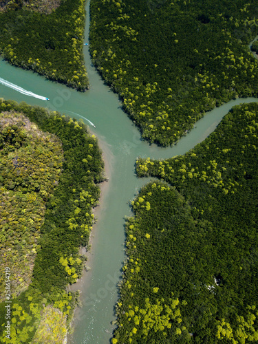 Aerial view of river in mangroves in Kilim Geoforest Park, Langkawi, Malaysia.