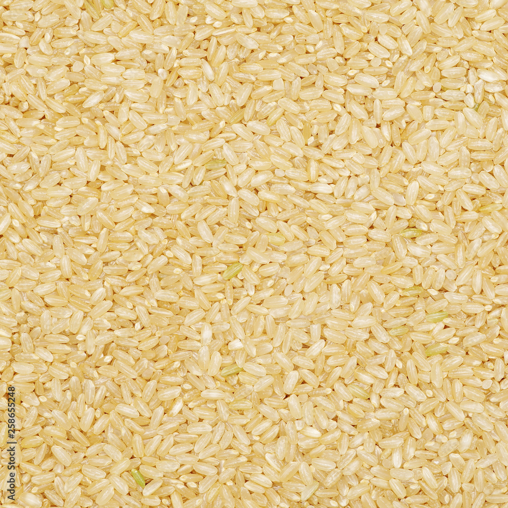 Background of short grain brown rice Background of short grain brown rice