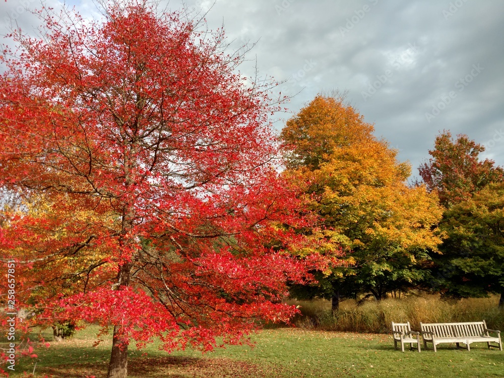 Parc Harboricole De La Vallee Des Loups