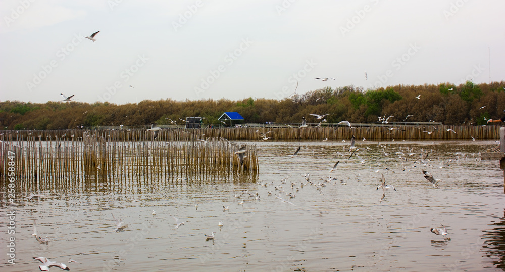 Obraz premium Blue sky Bird sky