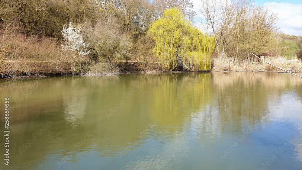 Reflection of trees in water.Autumn landscape with lake and trees Reflection of trees in water.Autumn landscape with lake and trees