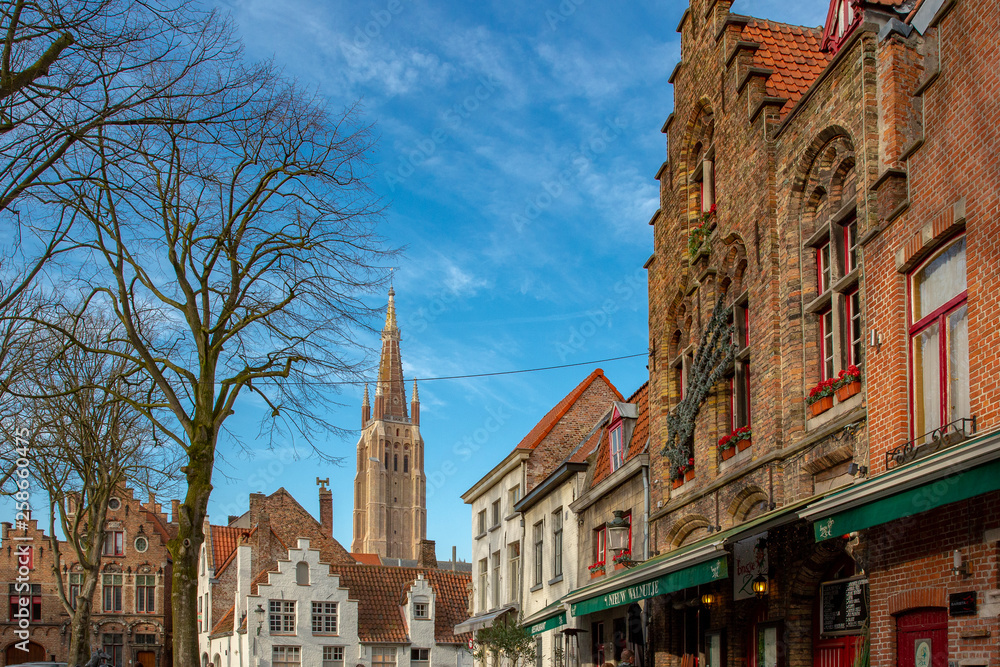 Fototapeta premium ブルージュ