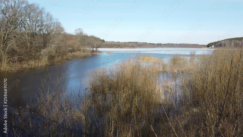 Spring landscape of Shevino Lake Spring landscape of Shevino Lake