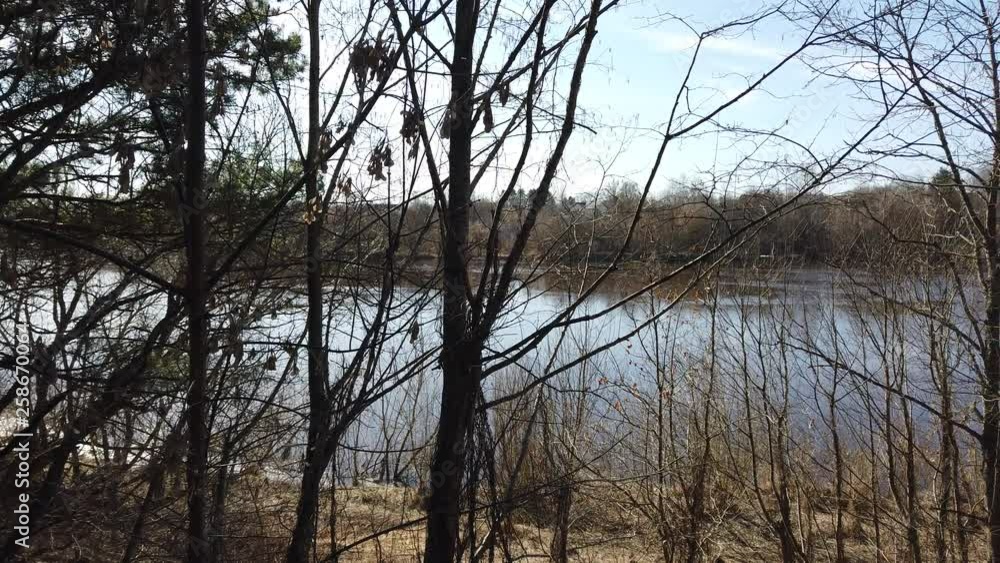 Spring landscape of Shevino Lake Spring landscape of Shevino Lake