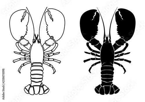 Lobster Silhouette Icon on White Background. Vector - Vector