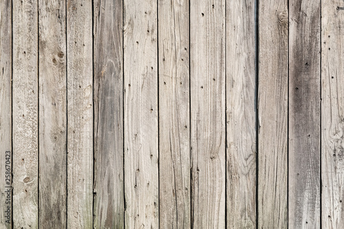 Wood texture background, natural tree