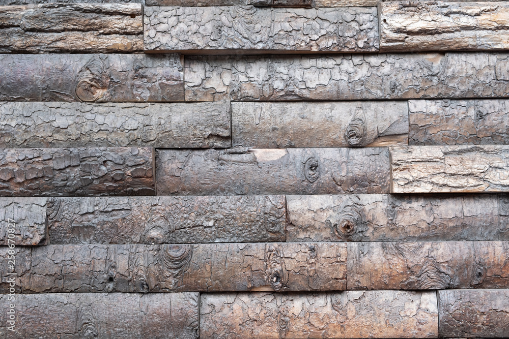 Naklejka premium Wood texture background, natural tree