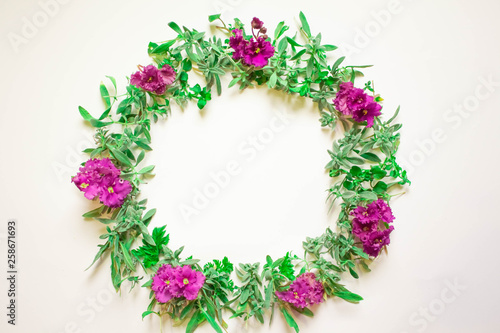 A wreath of violets on a white background. Round frame of purple flowers and fresh grass. Summer flowers. Flat lay, top view.