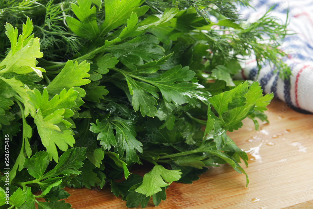 A bunch of fresh parsley and dill A bunch of fresh parsley and dill