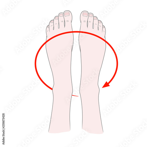 Foot massage. Kneading and prevention of diseases of the bones of the ankle. Rotation of the feetVector illustration