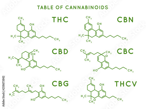 Cannabinoid structure. Cannabidiol molecular structures, THC and CBD formula. Marijuana or cannabis molecules vector illustration