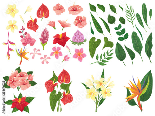 Tropical flower. Tropic forest flowers, exotic tropics plants leaves and flowering branch vector illustration set